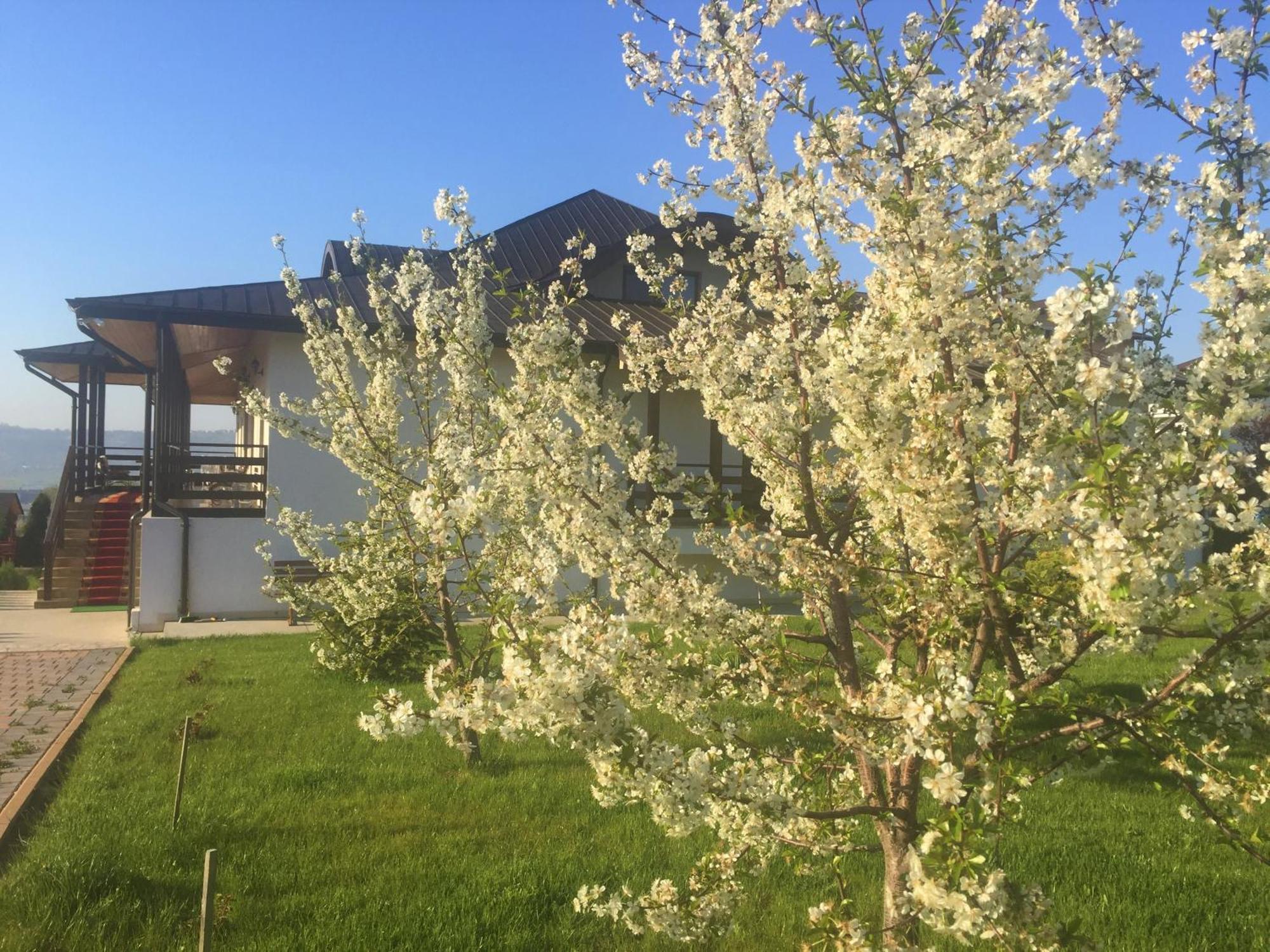 Tango Margo Hotel Valea Lupului  Exterior foto